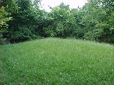adena.jpg (10668 bytes)
