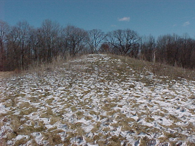Mvc-003f.jpg (89726 bytes)