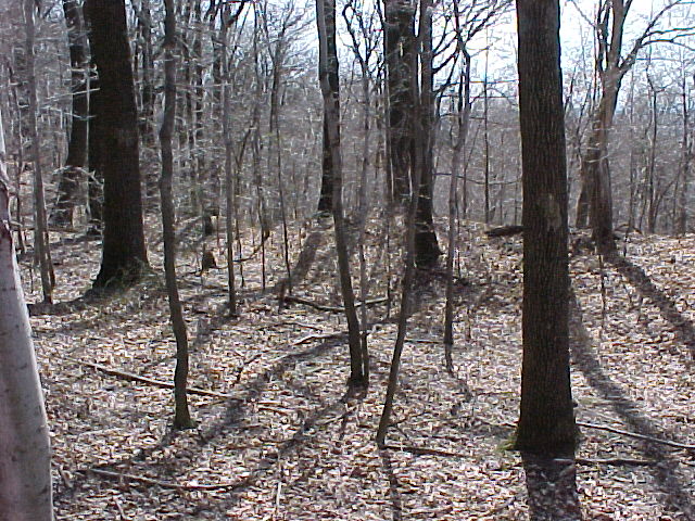 Mvc-001f.jpg (129149 bytes)