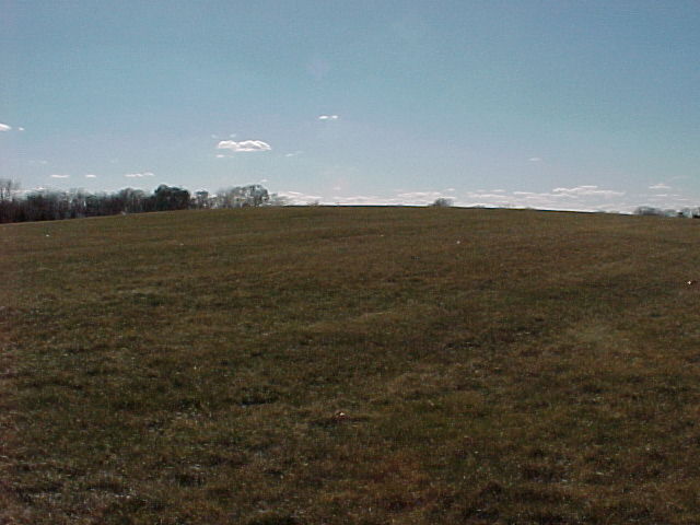 Mvc-010f.jpg (47398 bytes)
