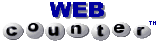 WEB counter